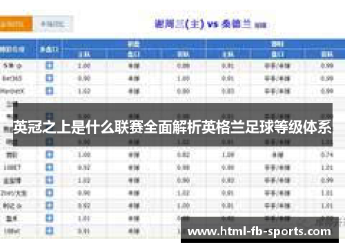 英冠之上是什么联赛全面解析英格兰足球等级体系