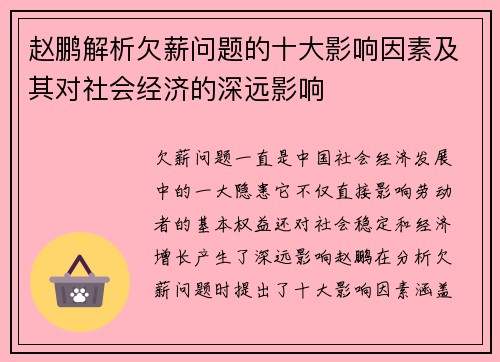 赵鹏解析欠薪问题的十大影响因素及其对社会经济的深远影响